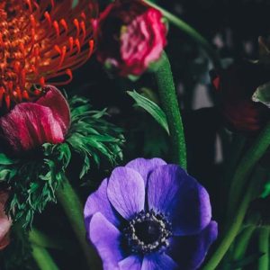 キャバクラ必要な風俗営業許可・申請の手引き【千葉県・茨城県・栃木県・神奈川県、東京都etc】